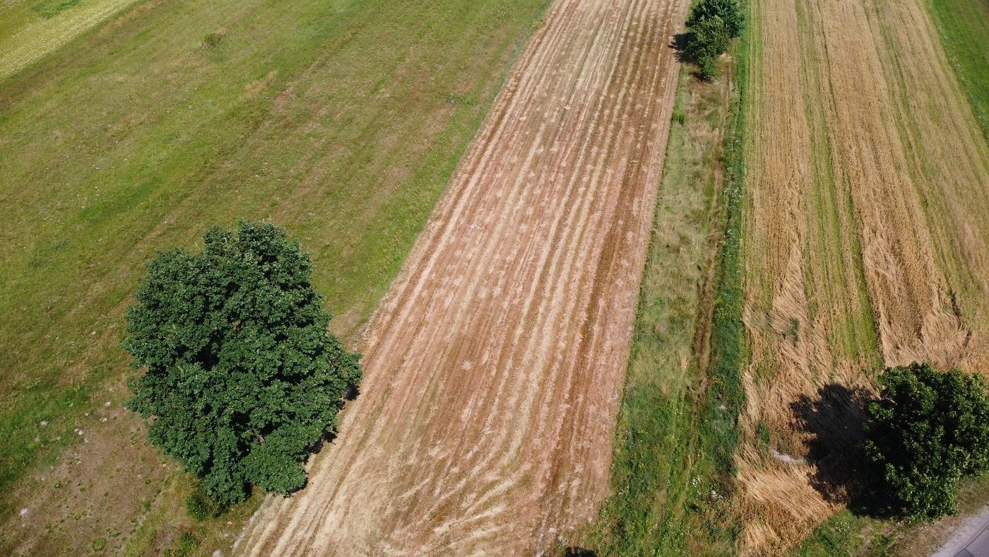 28_11_2021_00_39_09_isYRooHUyD